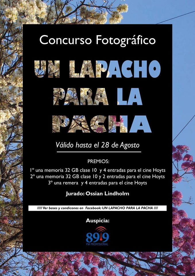 Concurso fotográfico organizado por el grupo”Un Lapacho para la Pacha”