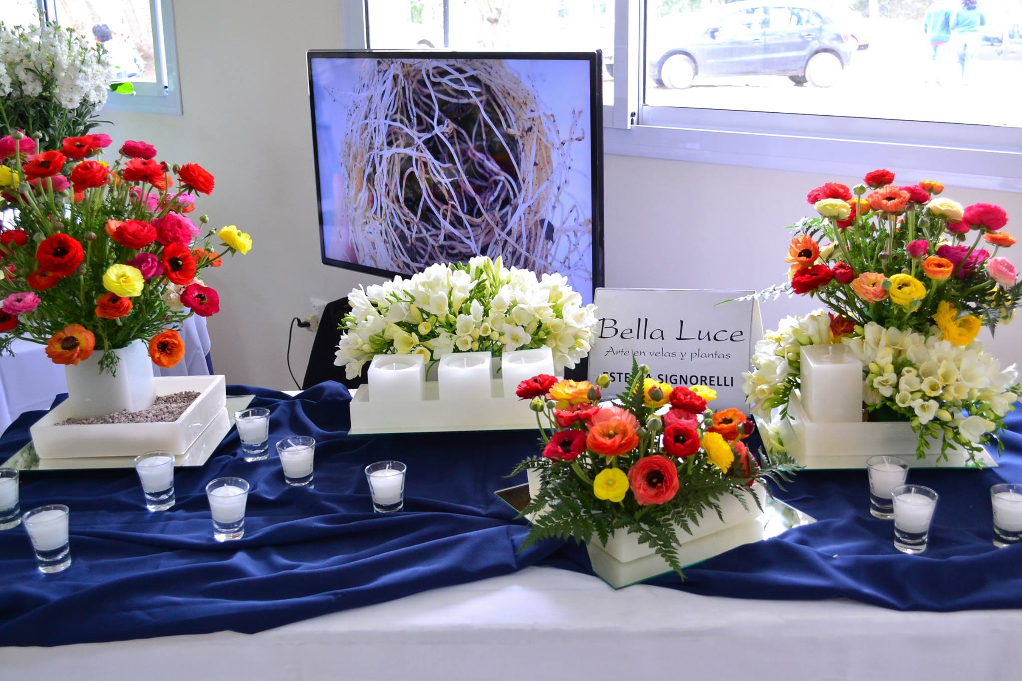 Se viene Expo Feria “Casa Flor” Edición Navideña en Vaqueros