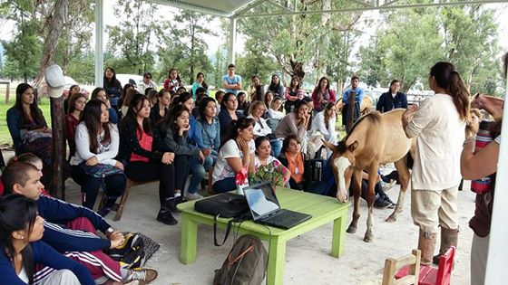 Voluntarios de Fundación Equinoterapia se capacitan para trabajar y ayudar