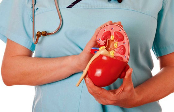 Semana del Riñón en el hospital Arturo Oñativia: del 6 al 10 de marzo