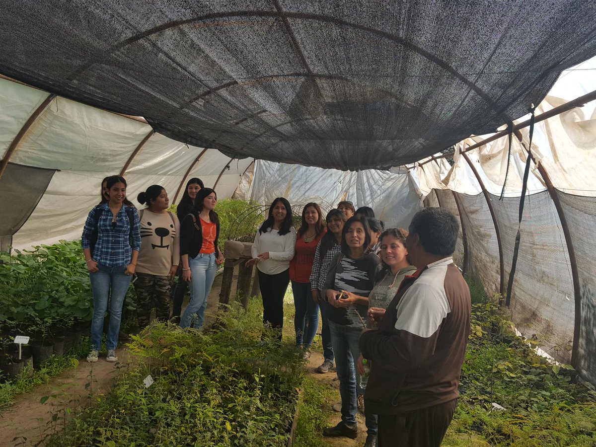 Voluntarios de entidades sociales crearán huertas comunitarias en los barrios