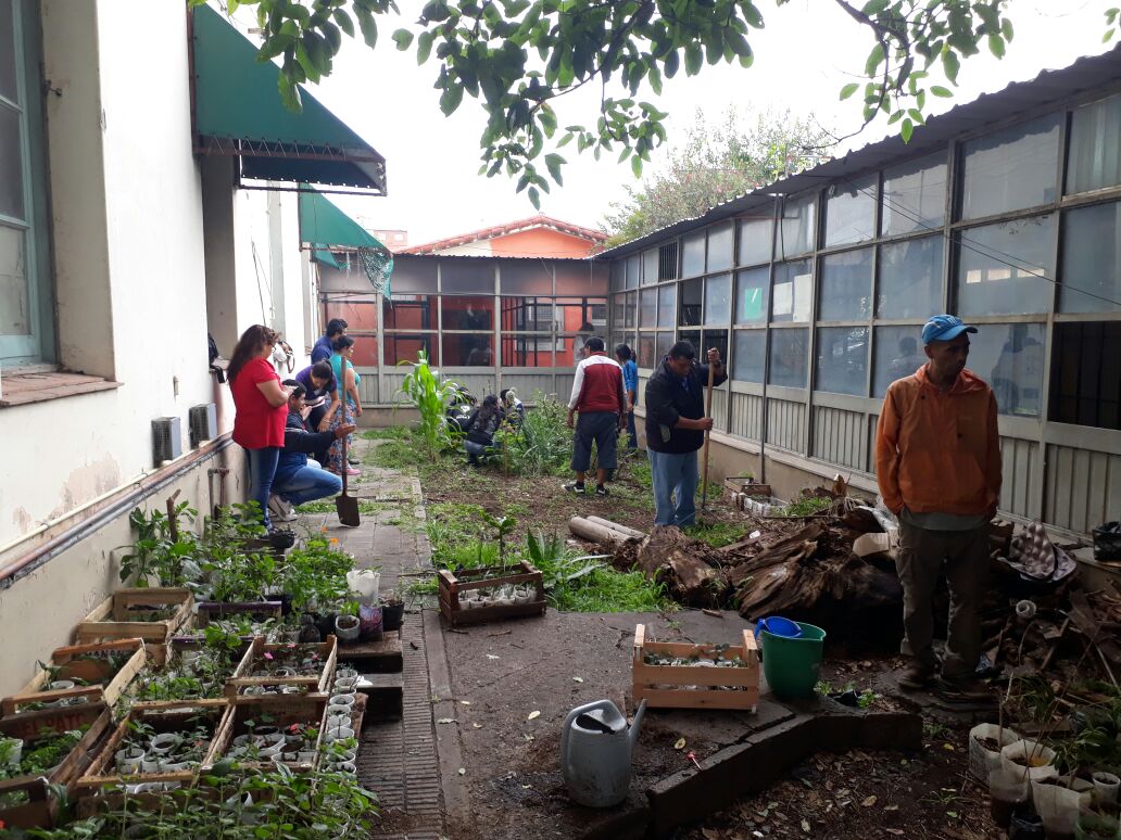 Voluntarios crearon la primera huerta urbana en el Centro de Día del Hospital Ragone