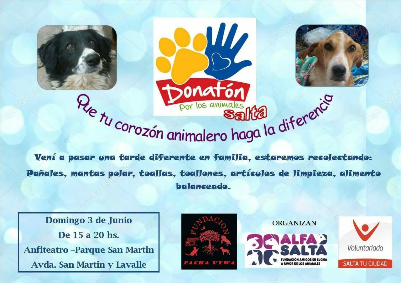 Se viene el 1º Donatón por los animales