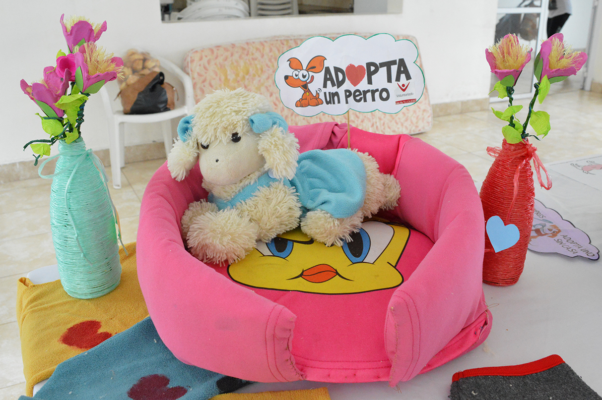 Conocé los lugares para aprender a confeccionar “cuchitas solidarias” para mascotas