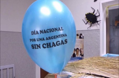 Salta trabaja en la eliminación de la enfermedad de Chagas