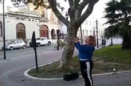 Tiene a su papá internado con Covid y le toca la trompeta en la puerta de la clínica