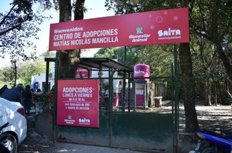 El Centro de Adopciones “Nicolás Mancilla” tiene 70 animales esperando un hogar