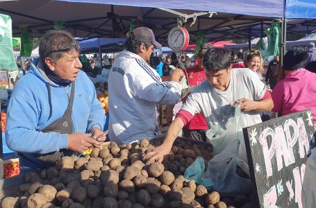 Se viene la gran “Expo mercado” en el Estadio Delmi