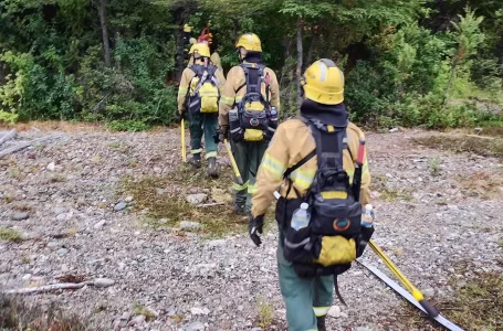 Brigadistas salteños prosiguen con los operativos de sofocación de incendios forestales en Chubut
