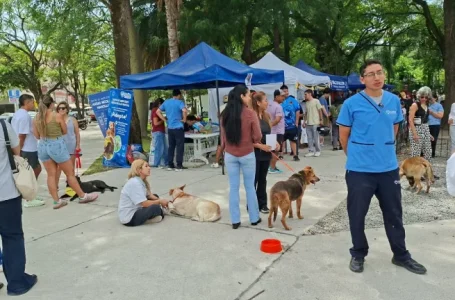 “La Muni Animal” llega a Tres Cerritos con servicios gratuitos