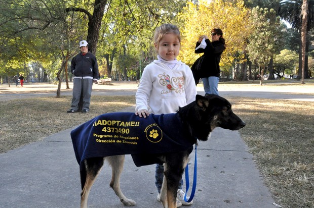 Los animales fueron los protagonistas de una jornada especial