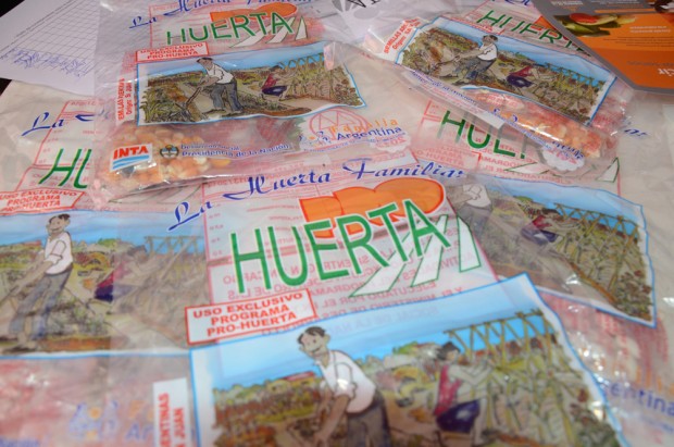 Más de 600 familias comenzaron a crear sus propias huertas