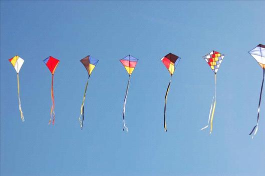 Festival de barriletes en el Parque del Bicentenario