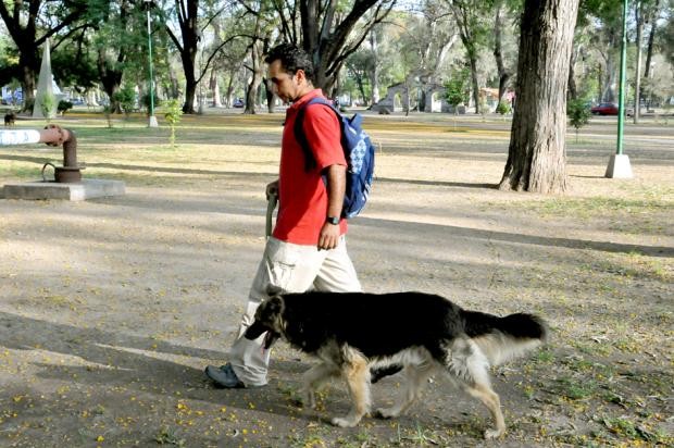 Invitan a vecinos a sumarse al voluntariado para pasear perros rescatados