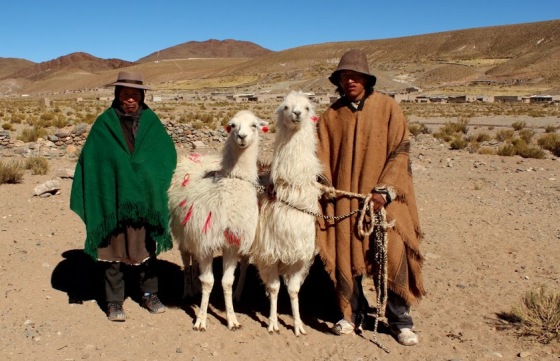 Cómo acceder al Fondo Ciudadano de Desarrollo Cultural y Turístico 2016
