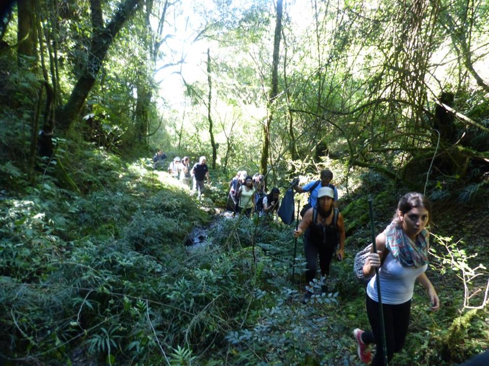 La Asociación Amigos del Árbol celebró el “Dia de la Tierra”