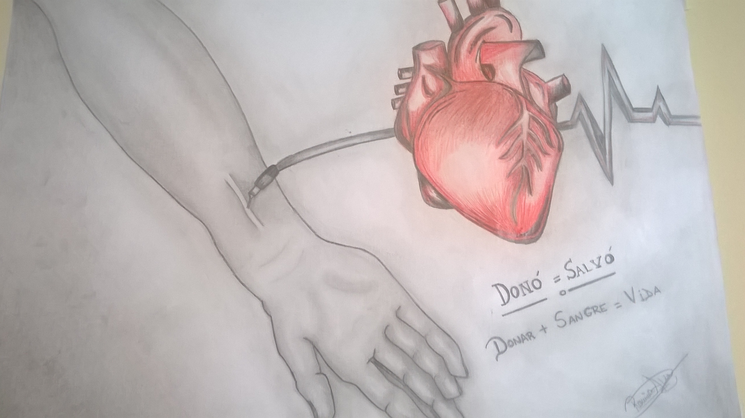 El CUCAI Salta prepara distintas actividades por el Día Nacional de la Donación de Órganos