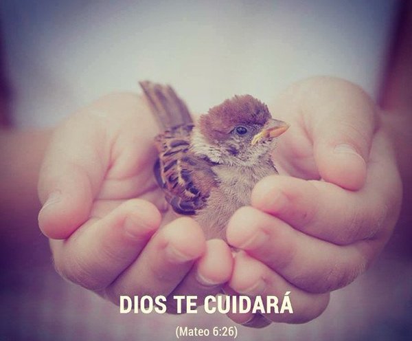 La frase #DIOSteDice es tendencia en Twitter