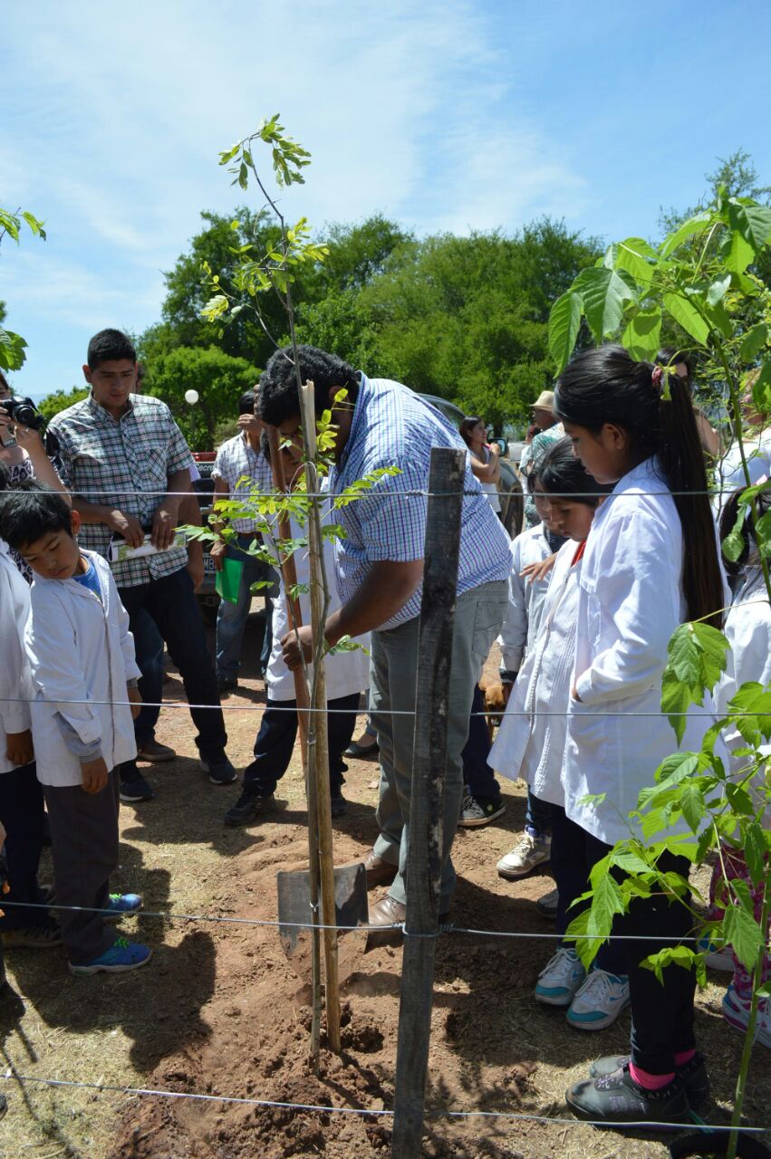 En Talapampa, se llevó a cabo la plantación de especies arbóreas nativas