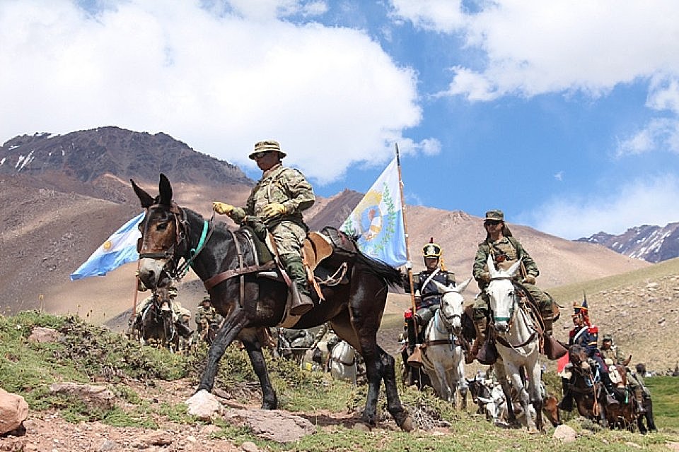 Día del Animal: las mulas del Ejército