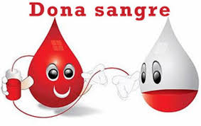 Lanzan la campaña “La donación no se toma vacaciones”