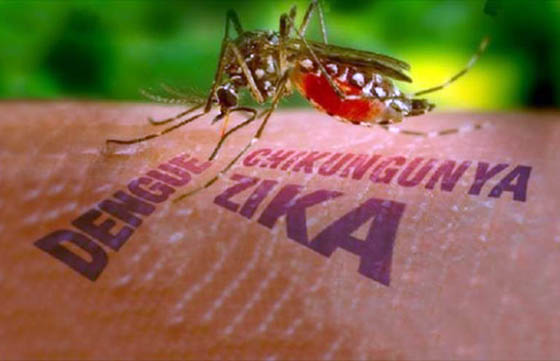 Todo lo que necesitas saber sobre el virus del zika