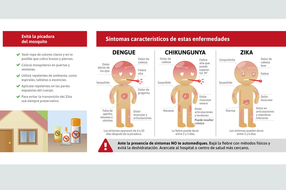 A la fecha no se reportaron en Salta casos de dengue, zika o chikungunya