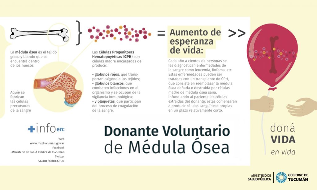 El Registro Nacional de Donantes de Médula Ósea cumple 15 años
