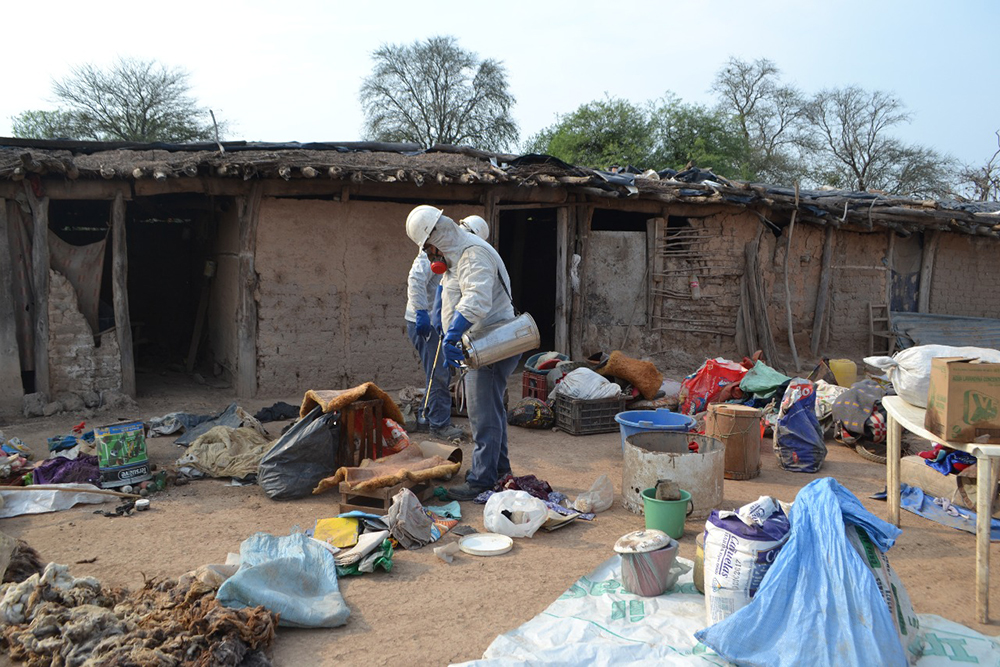 Trabajan en la prevención de la enfermedad de Chagas