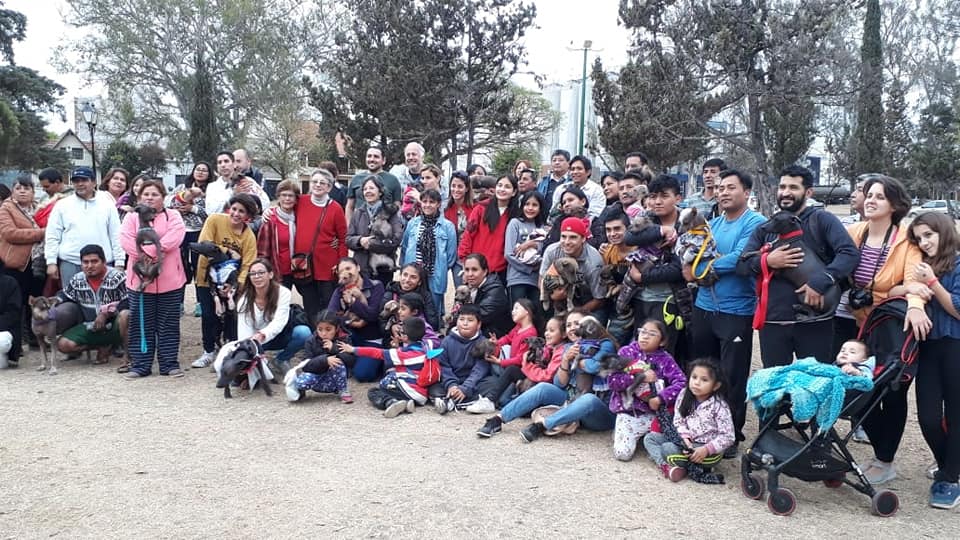 Se realizó una reunión informal de mascoteros de perros pilas
