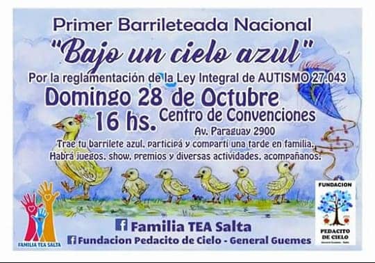 Jóvenes y niños de Familia TEA Salta realizan la barrileteada sobre el autismo