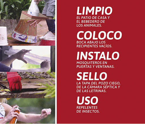 Solicitan extremar medidas para prevenir enfermedades transmitidas por mosquitos