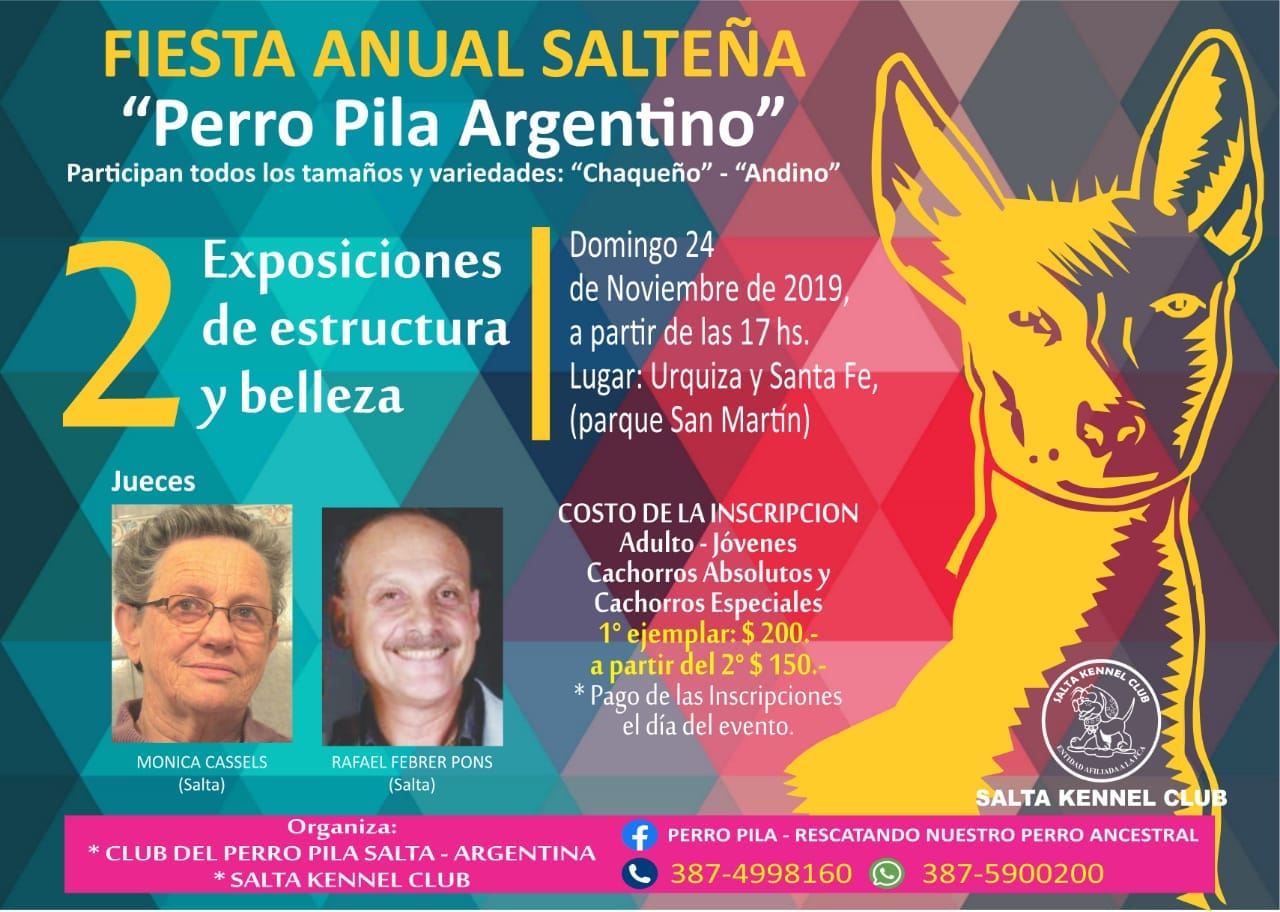 Mascoteros se preparan para la Fiesta anual del “Perro Pila Argentino”