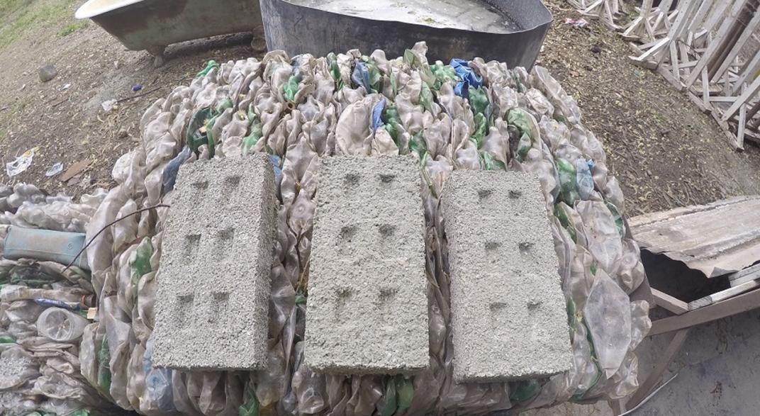 Quieren crear el árbol ecológico más grande del país