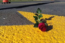 Las estrellas amarillas tienen un objetivo de concientización vial en las calles de Salta