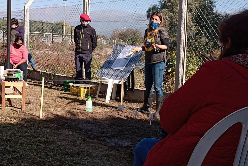 Desarrollo Social instaló 22 Huertas en comedores y otras instituciones