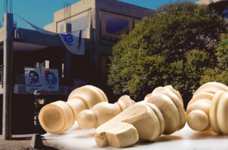 Dos estudiantes de la Facultad ganaron la Copa Argentina Universitaria de Ajedrez Online y van por título internacional