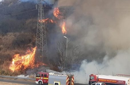 Convocan a salteños y a viveros a colaborar en la reforestación de árboles en el cerro frente a la UCASAL