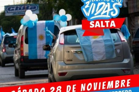 Los salteños vuelven a la calle en Defensa de la Vida