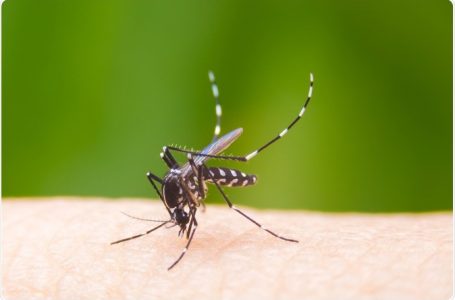 Hola vitamina B, chau espirales