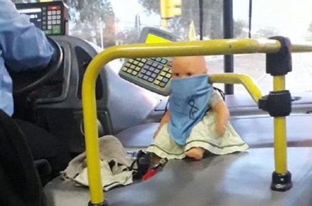 Furor en las redes sociales por el colectivero PROVIDA