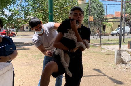 Campaña de vacunación antirrábica en barrio Lamadrid