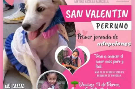 Se viene el “San Valentín Perruno”