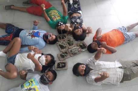 Actividades recreativas en el Parque de la Familia