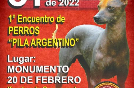 Se viene el 1° Encuentro de Perros “Pila Argentino”