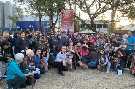 El Club del Perro Pila Argentino realizó el 1º Encuentro de Perros Pila