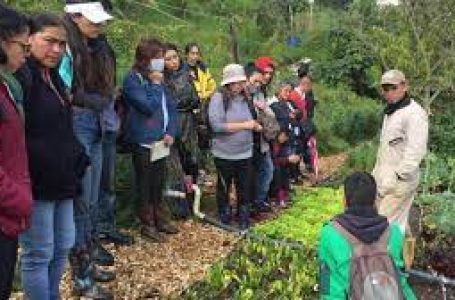 Nuevo curso sobre el oficio del huertero urbano