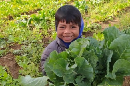 Alumnos de la escuela de Educación Especial de Coronel Juan Solá aprenden a través de huertas escolares