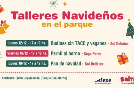 Talleres Navideños: aprendé a preparar budines sin TACC y veganos