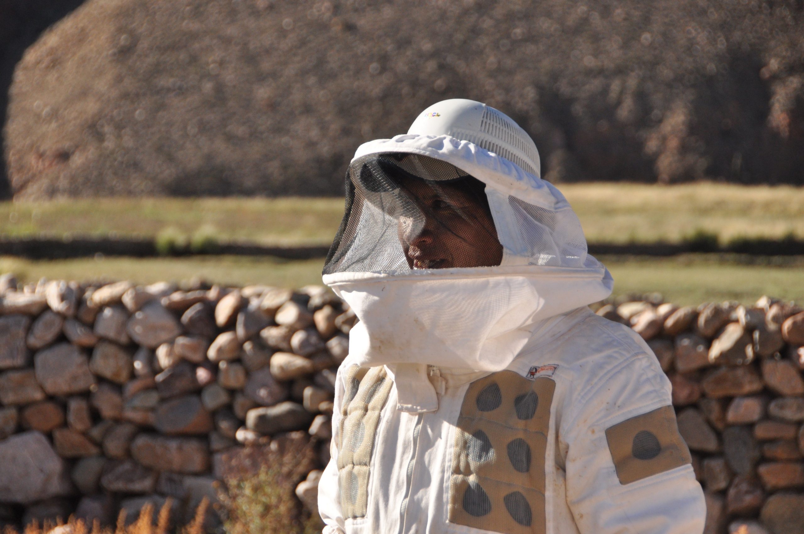 Miel de altura en la Quebrada del Toro